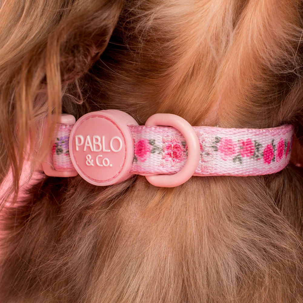 Pablo & Co Vintage Rose Dog Collar