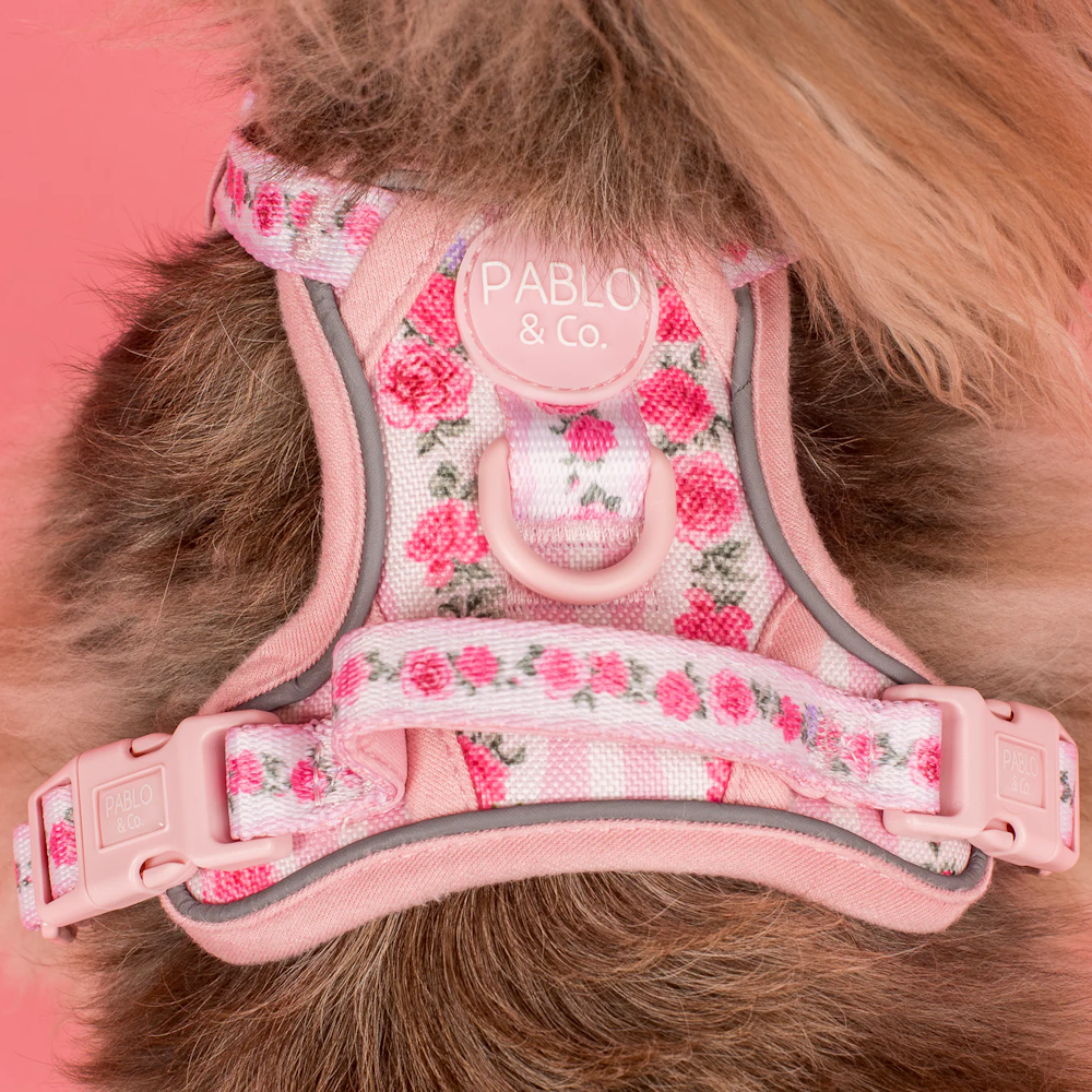 Pablo & Co Vintage Rose No Pull Harness