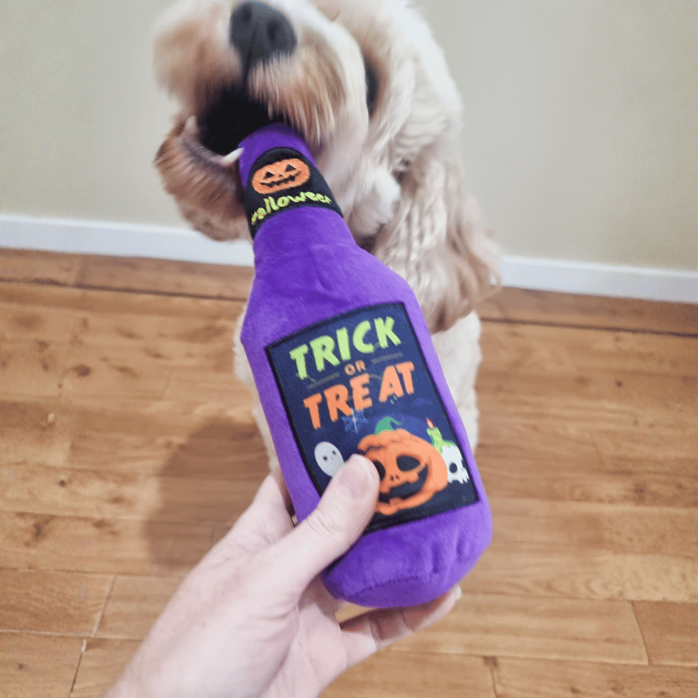 Witches Brew Trick Bottle Dog Toy