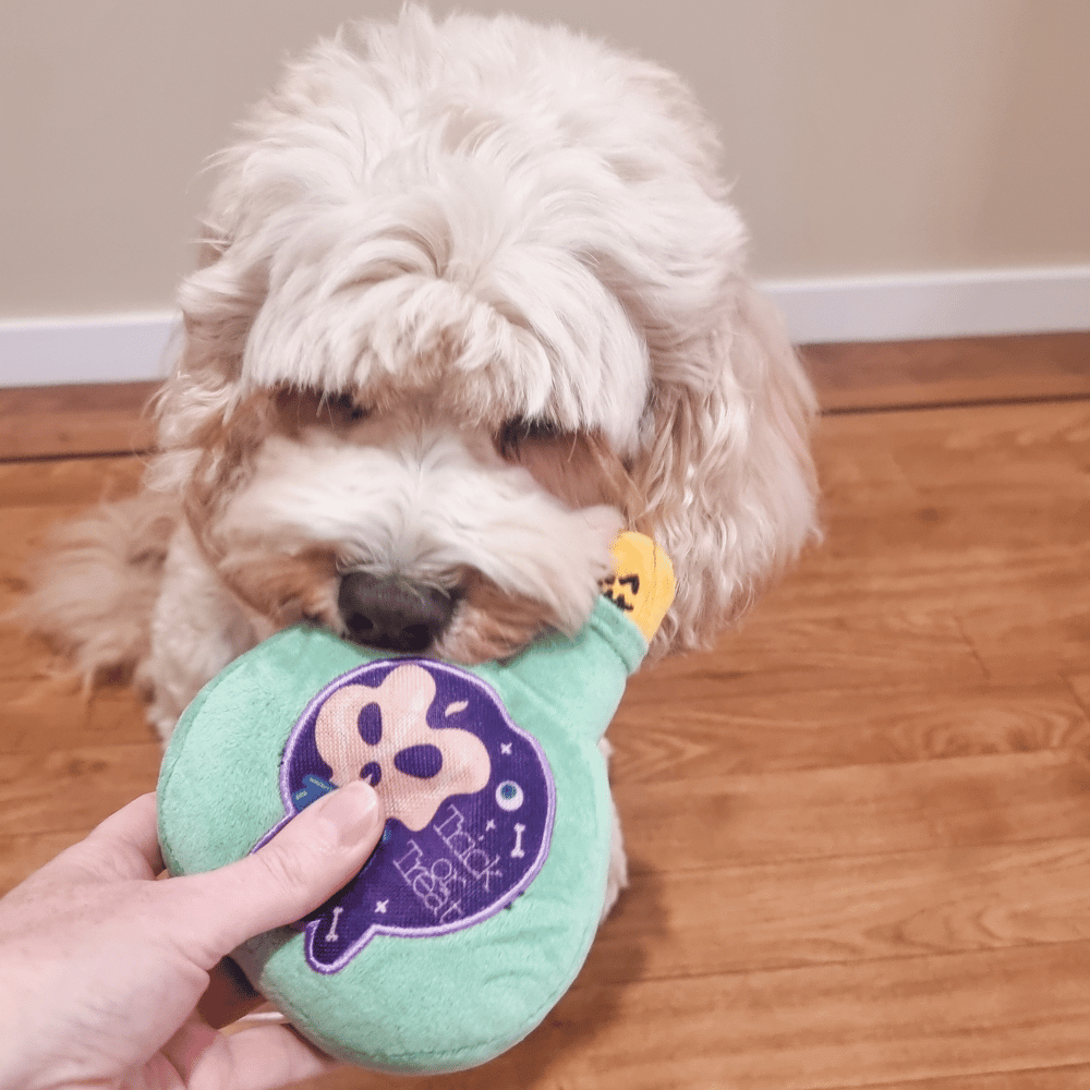 Witches Potion Dog Toy