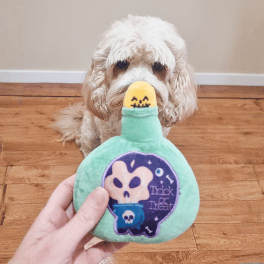 Witches Potion Dog Toy