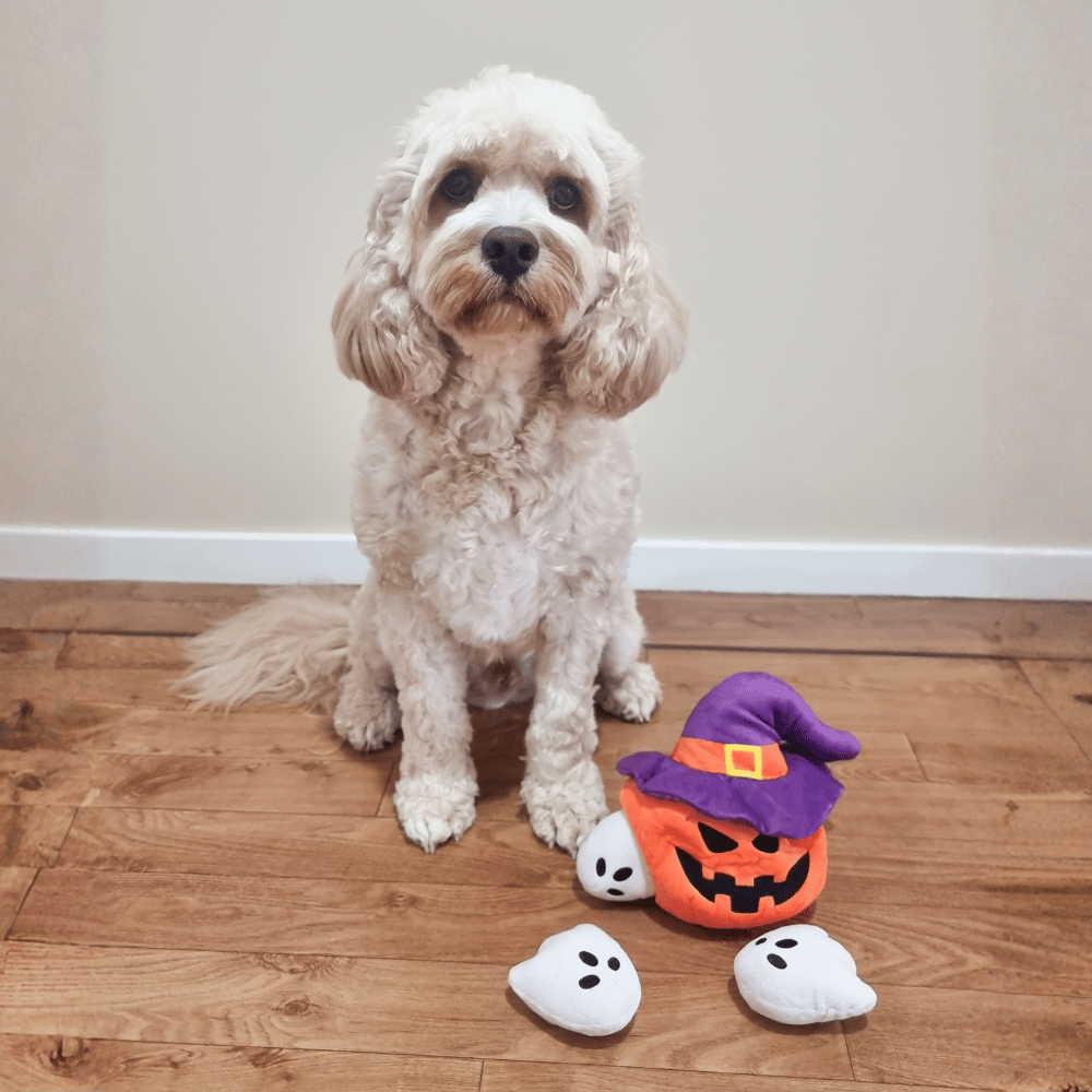 Witchy Pumpkin & Ghosts Burrow Dog Toy