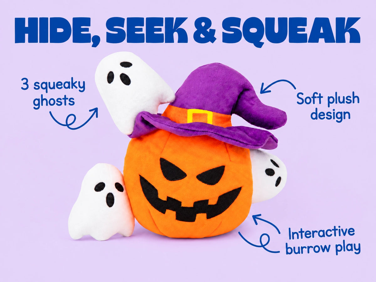 Witchy Pumpkin & Ghosts Burrow Dog Toy