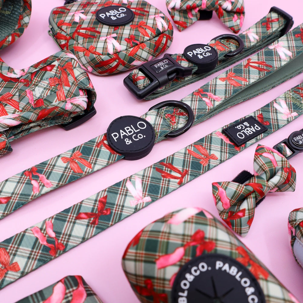 Pablo & Co Wrapped in Ribbons Dog Leash