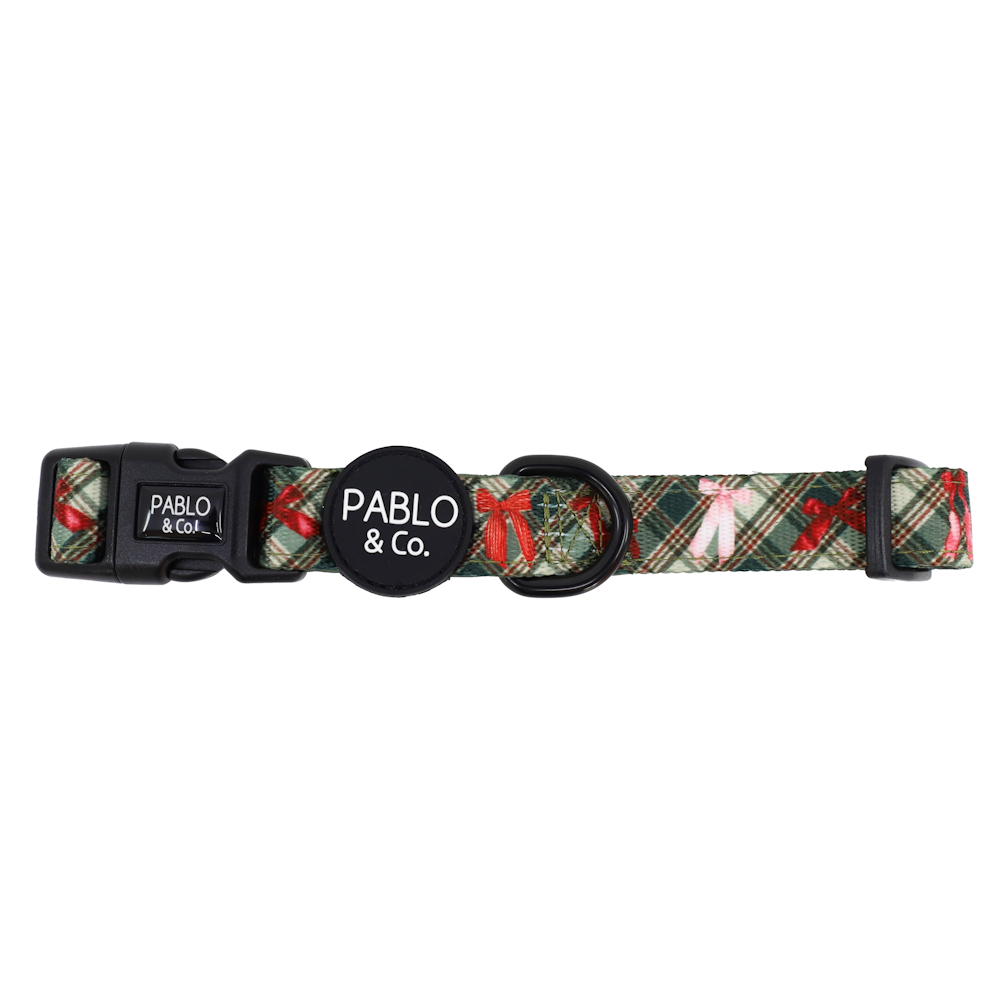 Pablo & Co Wrapped in Ribbons Dog Collar