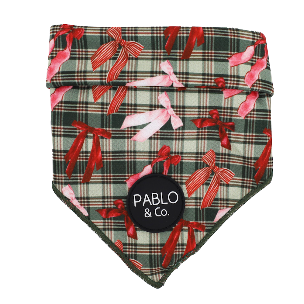Pablo & Co Wrapped in Ribbon Dog Bandana