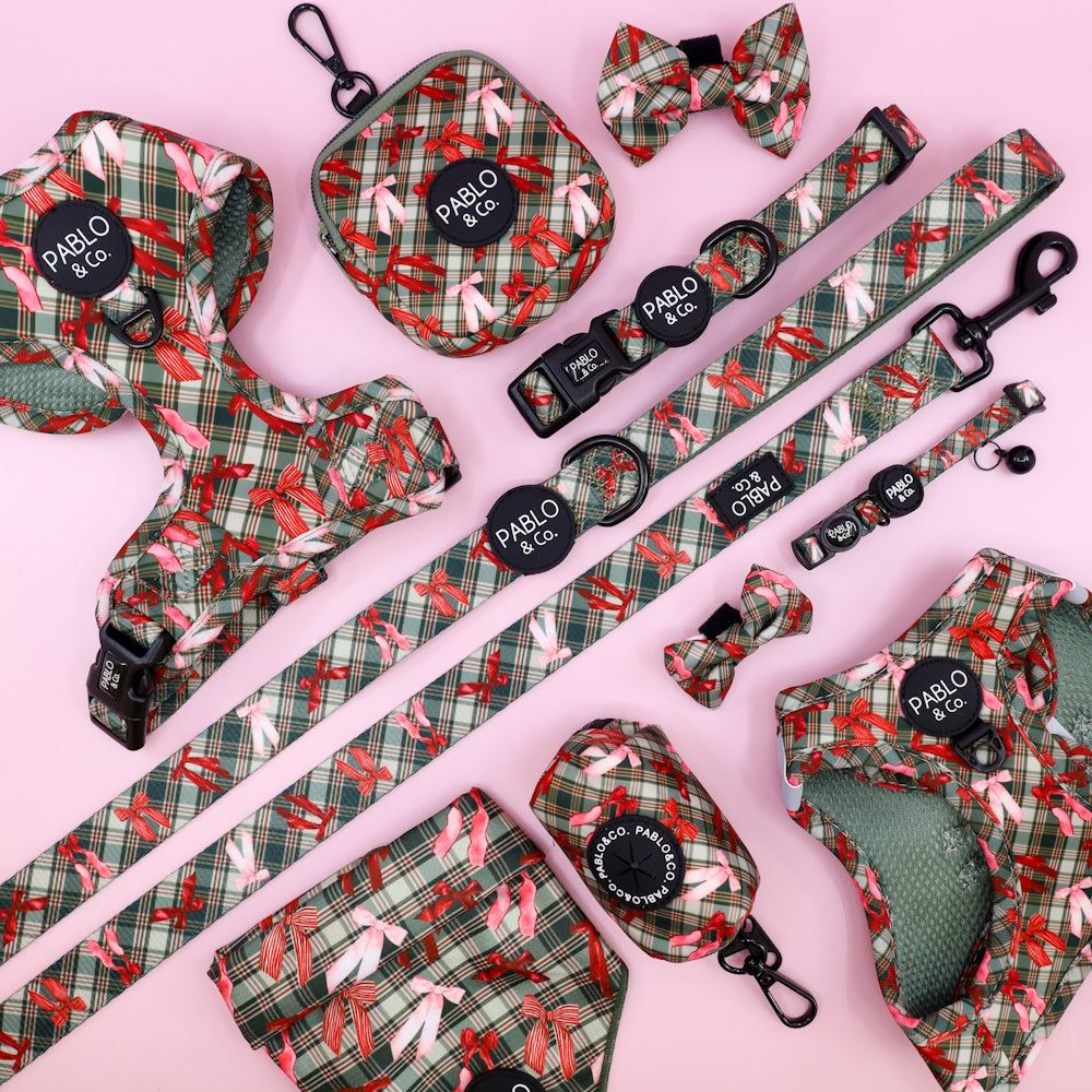 Pablo & Co Wrapped in Ribbons Dog Collar