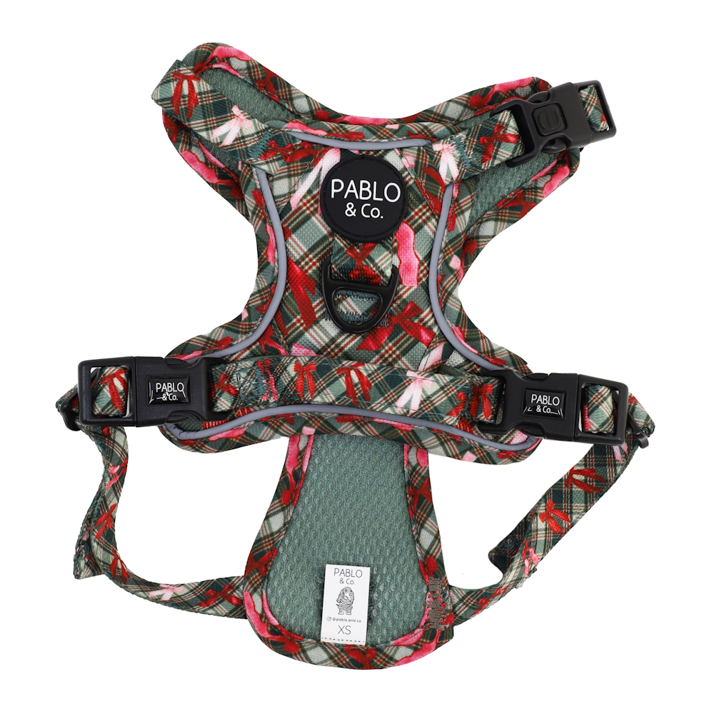 Pablo & Co Wrapped in Ribbons No Pull Dog Harness