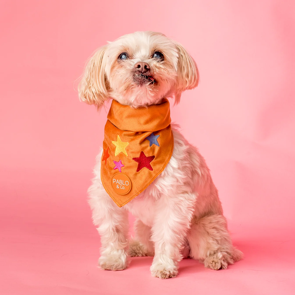 Pablo & Co You're A Star Bandana Velvet