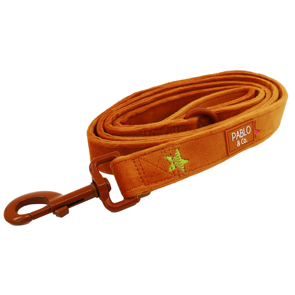 Pablo & Co You're A Star Dog Leash Velvet