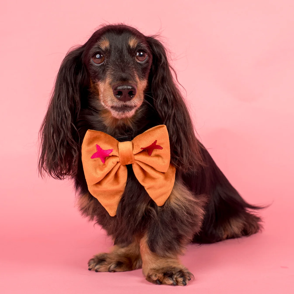 Pablo & Co You're A Star Sailor Bow Velvet