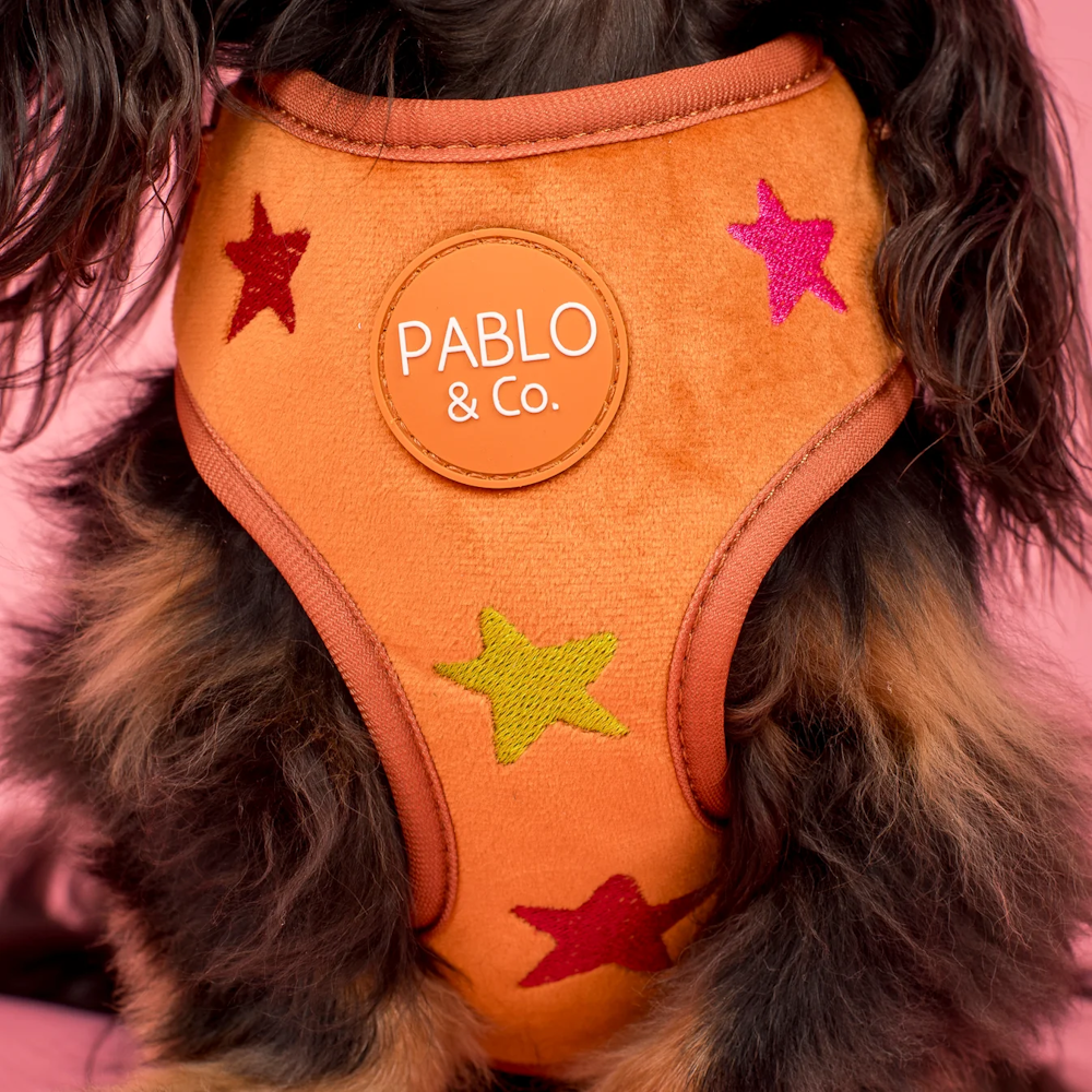 Pablo & Co You're A Star Adjustable Harness Velvet
