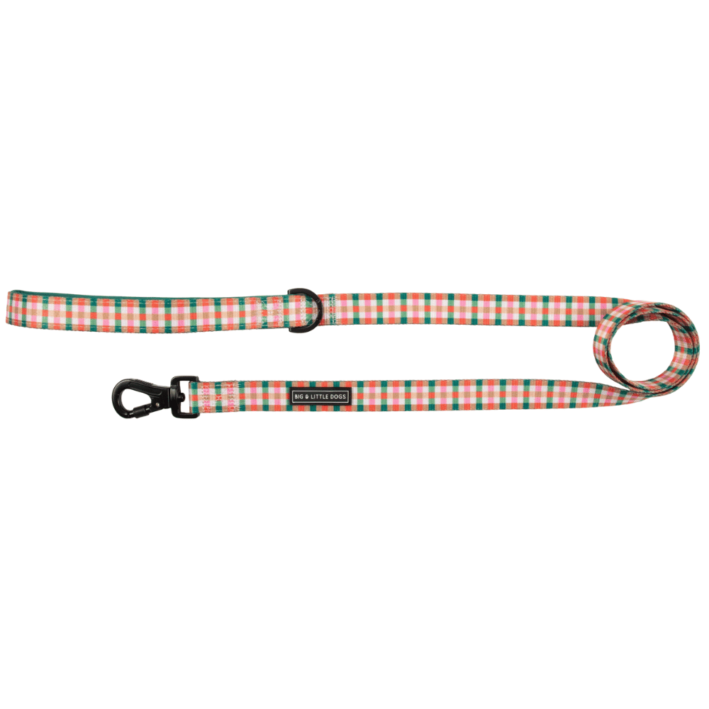 Big & Little Dogs Candy Lane Plaid Dog Leash - Leashes & Leads from Sale at DoggyTopia