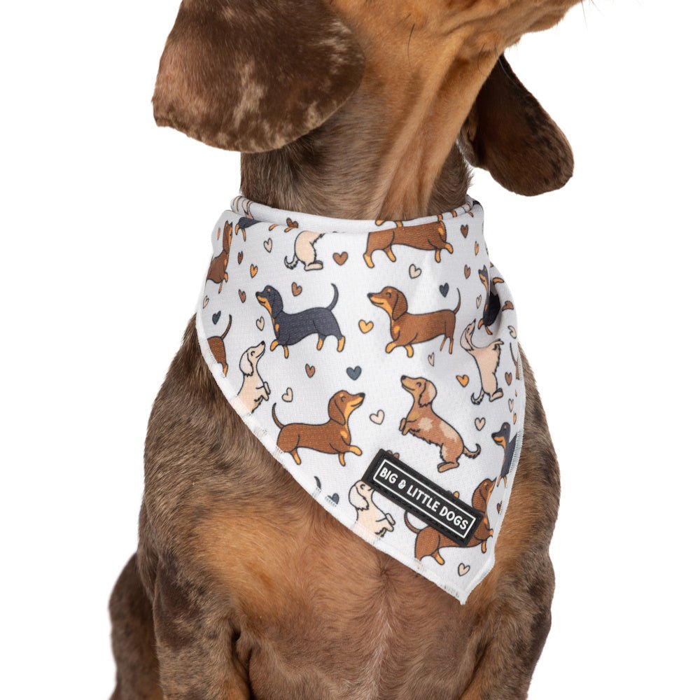 Big & Little Dogs Dashie Lovers Bandana - Bandanas from Sale at DoggyTopia