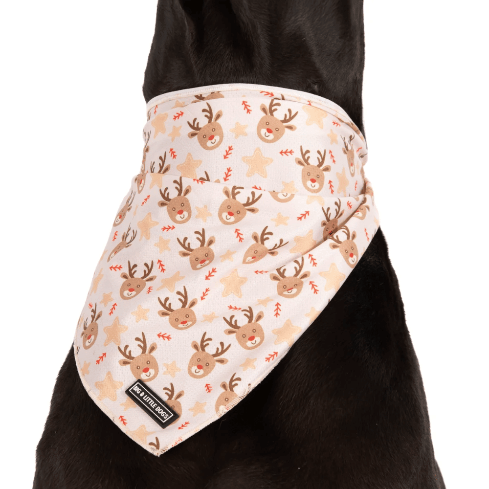 Big & Little Dogs Dashing Through The Stars Dog Bandana - Bandanas from Sale at DoggyTopia