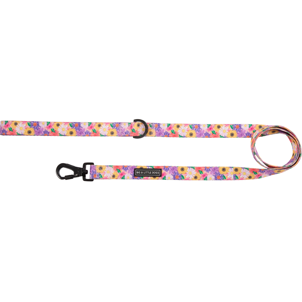 Big & Little Dogs Leash: Spring Fling - Leashes & Leads from Sale at DoggyTopia