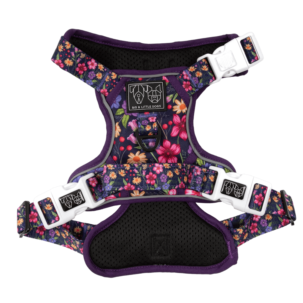 Big & Little Dogs Petal Paradise All Rounder Harness - All Rounder Harnesses from Sale at DoggyTopia