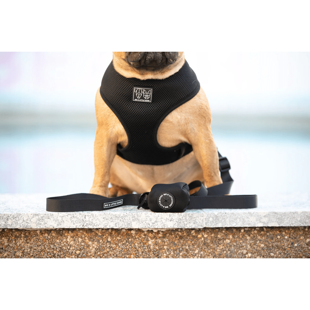 Big & Little Dogs Poop Bag Holder - Black - Poop Bag Holders from Big & Little Dogs at DoggyTopia