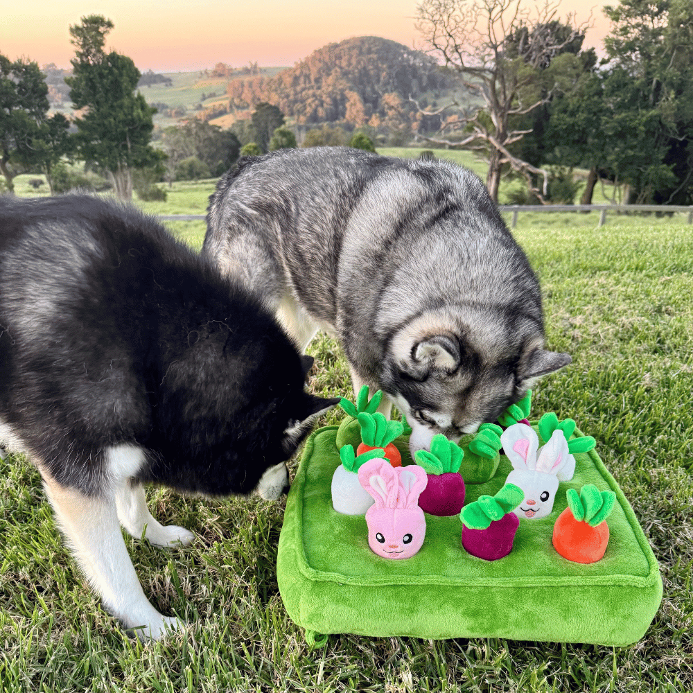 Bunny Garden Nose Work Toy - Foraging Toy from . at DoggyTopia