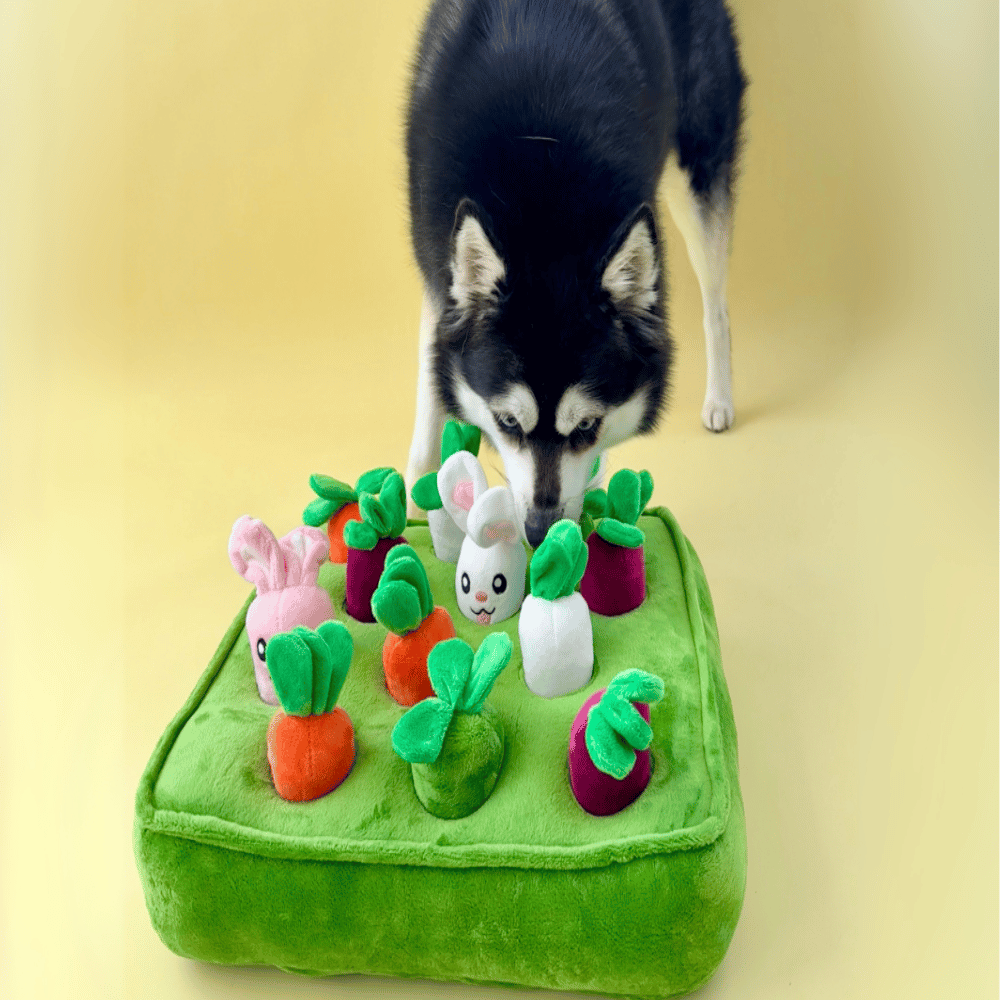 Bunny Garden Nose Work Toy - Foraging Toy from . at DoggyTopia