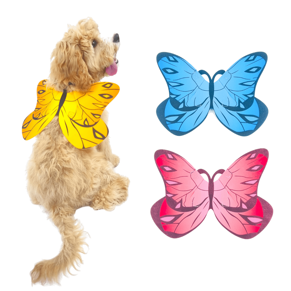 Dog Butterfly Wings - Costumes from . at DoggyTopia