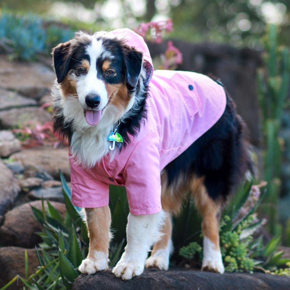 Dog Raincoat - Pink - Raincoats from . at DoggyTopia