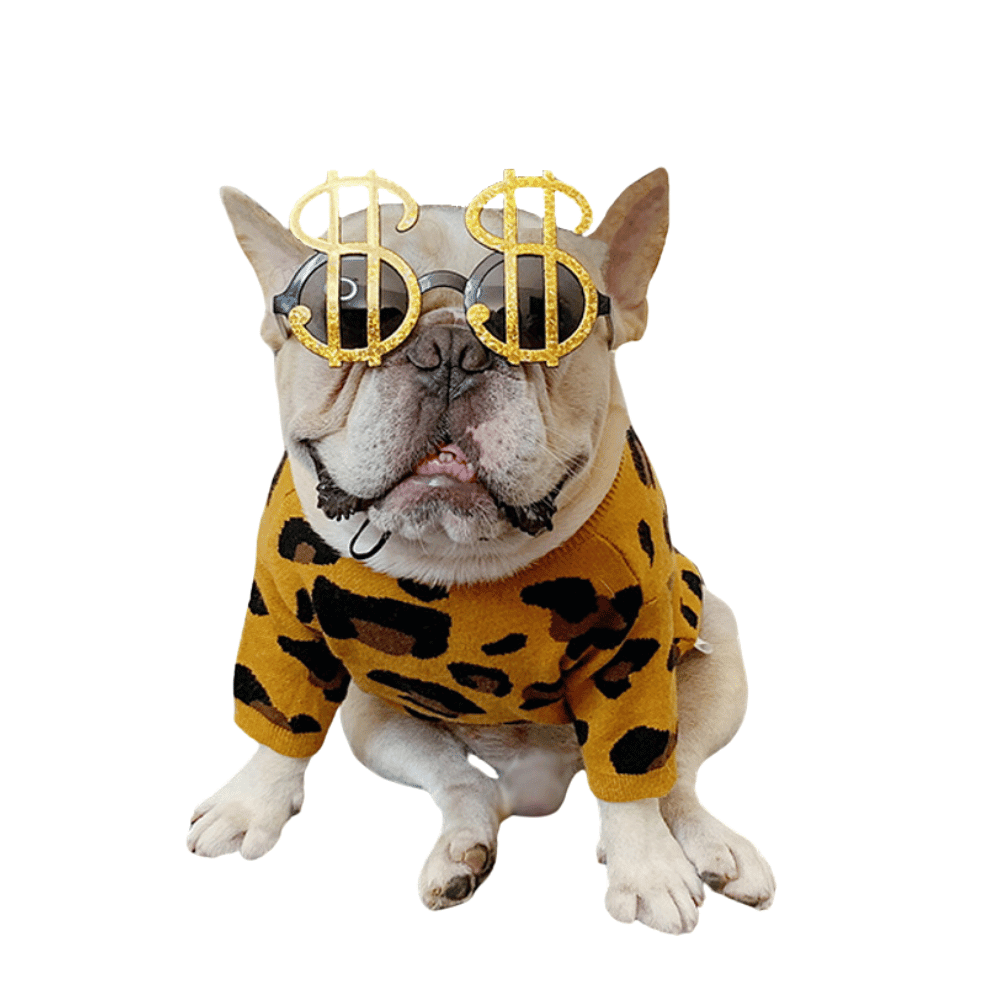 Dollar $$ Dog Glasses - Sunglasses from Sale at DoggyTopia