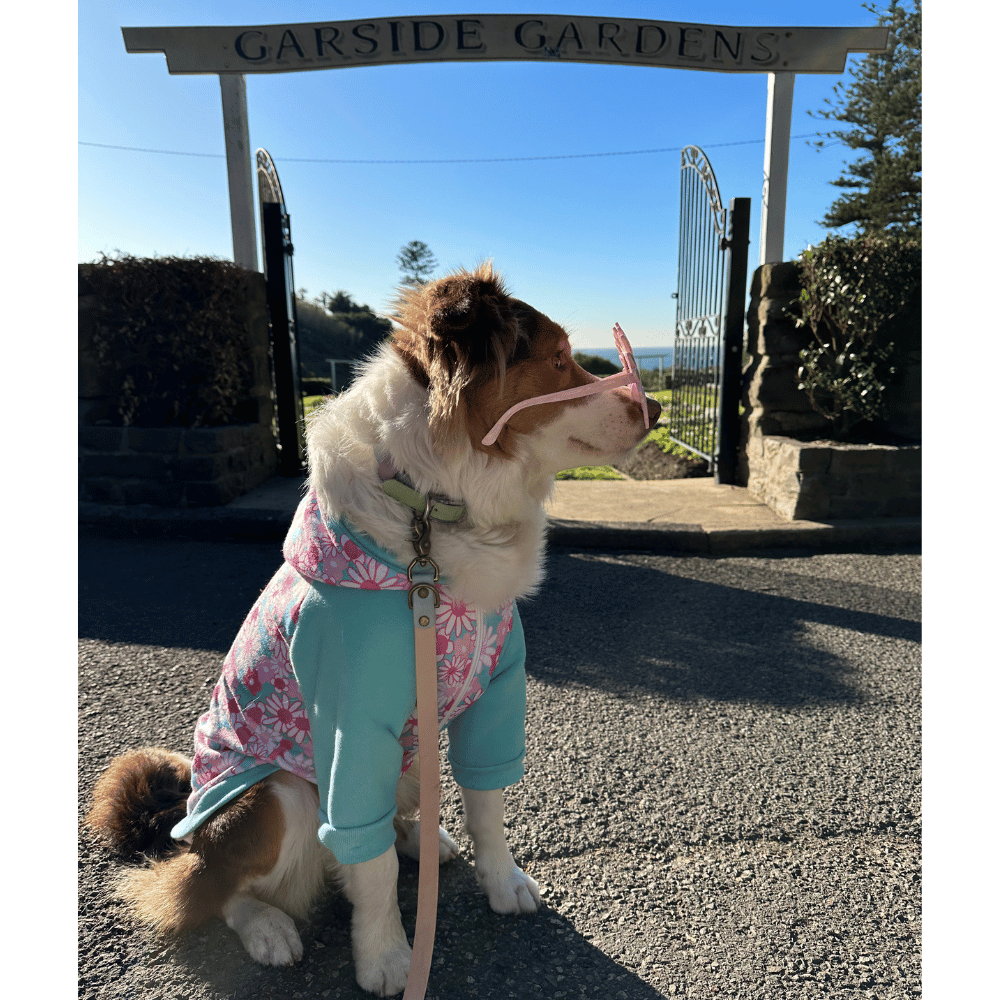 Flower Power Zip Hoodie - Hoodies from Sale at DoggyTopia