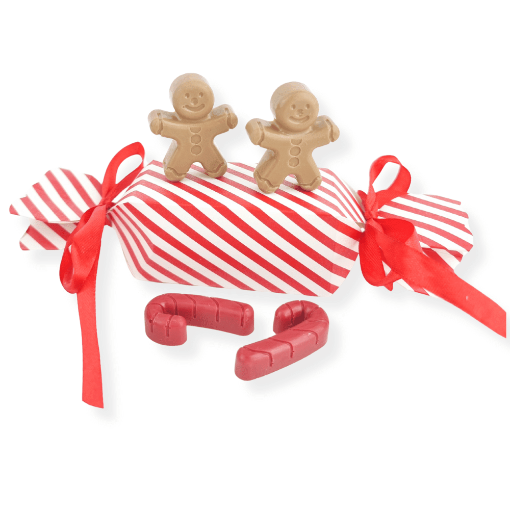 Gingerbread man & Candy Cane Bon Bon - Christmas Treats from Sale at DoggyTopia