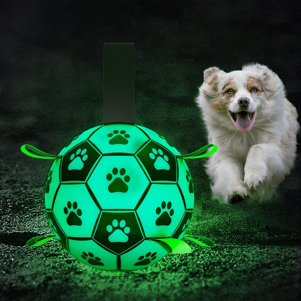 Glow In The Dark Interactive Dog Soccer Ball With Grab Tabs - Interactive Toys from . at DoggyTopia