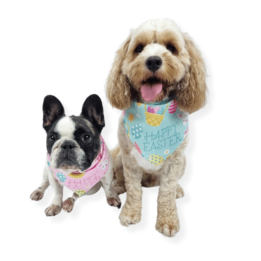 Happy Easter Bandana - Pink - Bandanas from . at DoggyTopia