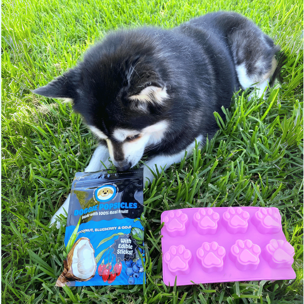 L'Barkery Doggie Pupsicles - Treats from L'Barkery at DoggyTopia