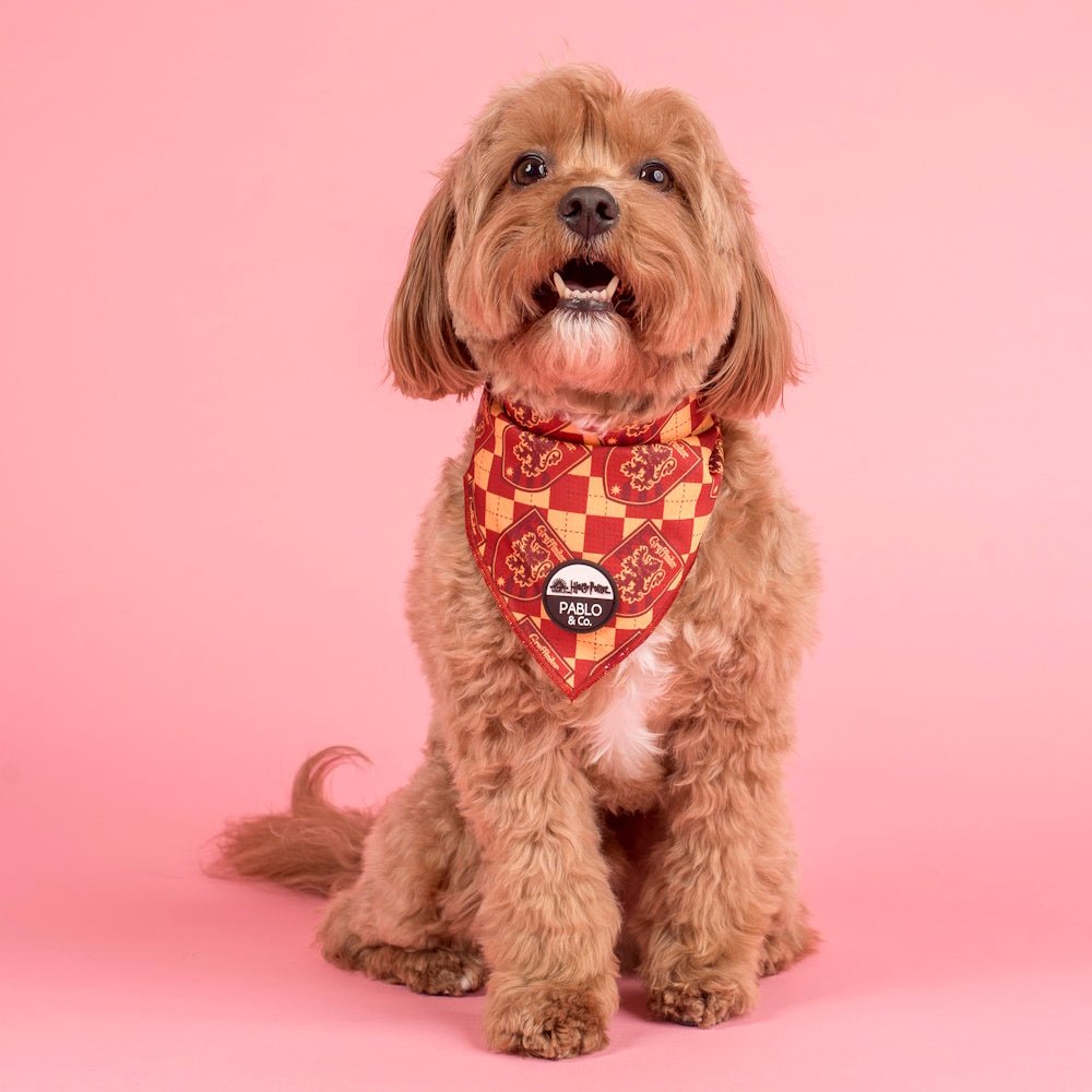 Pablo & Co Harry Potter Gryffindor: Dog Bandana - Bandanas from Sale at DoggyTopia