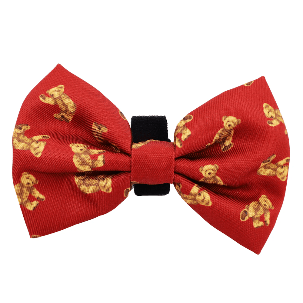 Pablo & Co Henry Bear Bow Tie - Bow Ties from Pablo & Co at DoggyTopia