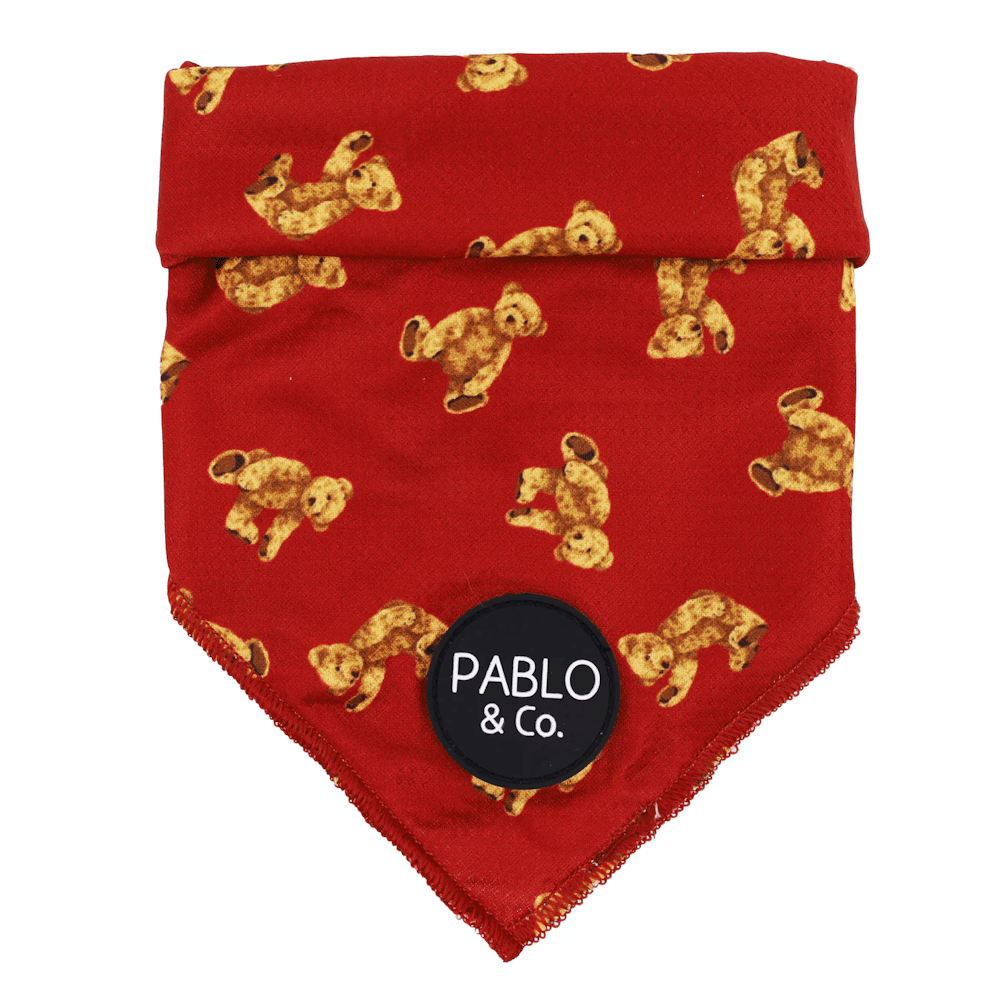 Pablo & Co Henry Bear Dog Bandana - Bandanas from Pablo & Co at DoggyTopia