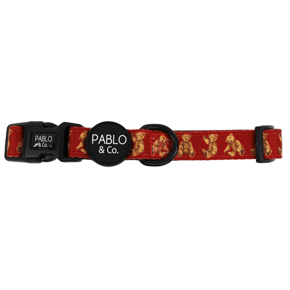 Pablo & Co Henry Bear Dog Collar - Collars from Pablo & Co at DoggyTopia
