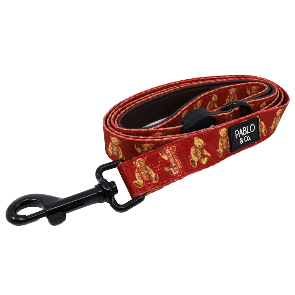 Pablo & Co Henry Bear Dog Leash - Leashes & Leads from Pablo & Co at DoggyTopia