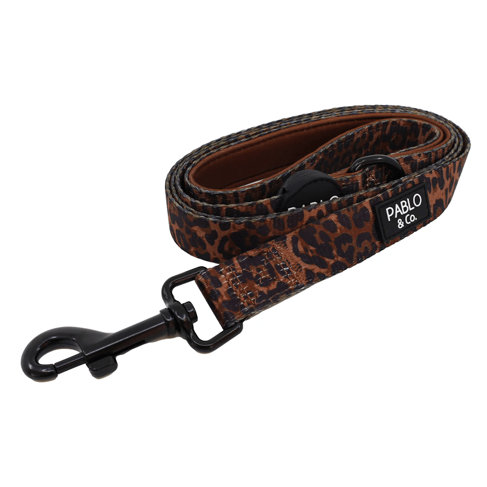 Pablo & Co Leopard Dog Leash - Leashes & Leads from Pablo & Co at DoggyTopia