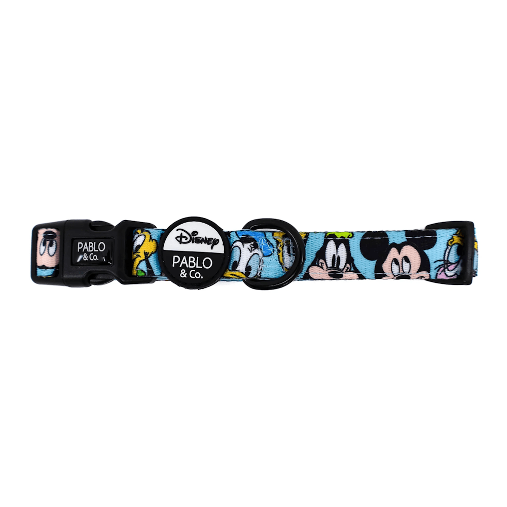 Pablo & Co Mickey & Friend: Dog Collar Blue - Collars from Sale at DoggyTopia