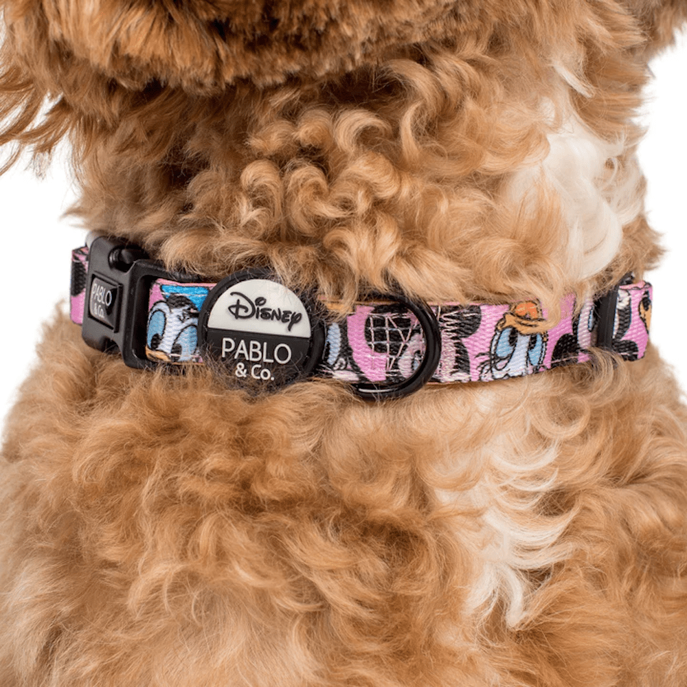 Pablo & Co Mickey & Friend: Dog Collar Pink - Collars from Sale at DoggyTopia