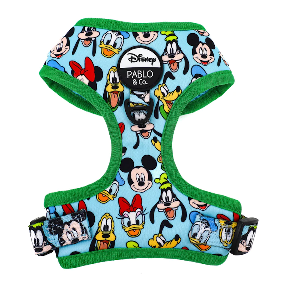 Pablo & Co Mickey & Friends: Adjustable Harness - Blue - Adjustable Harnesses from Sale at DoggyTopia