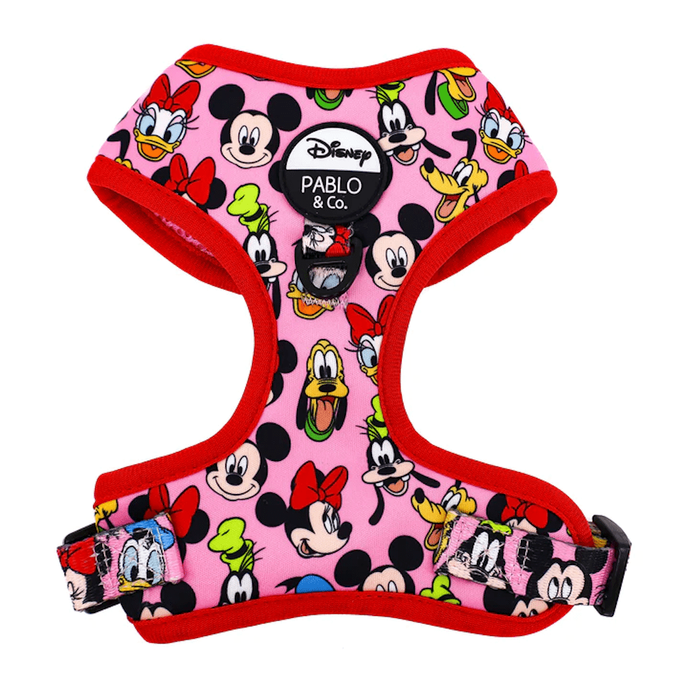 Pablo & Co Mickey & Friends: Adjustable Harness - Pink - Adjustable Harnesses from Sale at DoggyTopia
