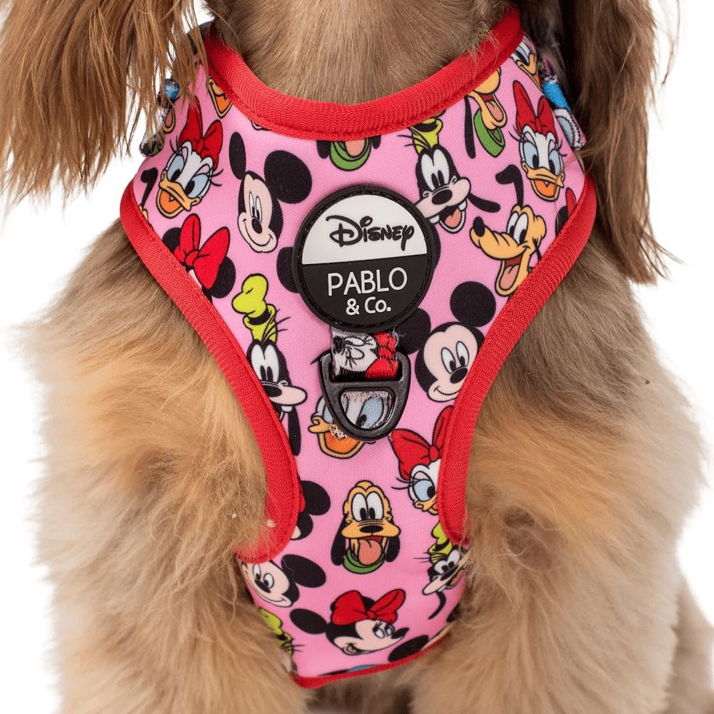 Pablo & Co Mickey & Friends: Adjustable Harness - Pink - Adjustable Harnesses from Sale at DoggyTopia