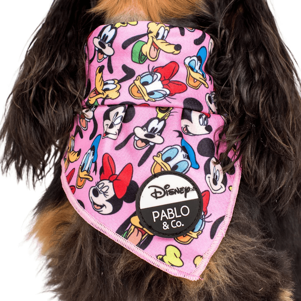 Pablo & Co Mickey & Friends: Bandana - Pink - Bandanas from Sale at DoggyTopia