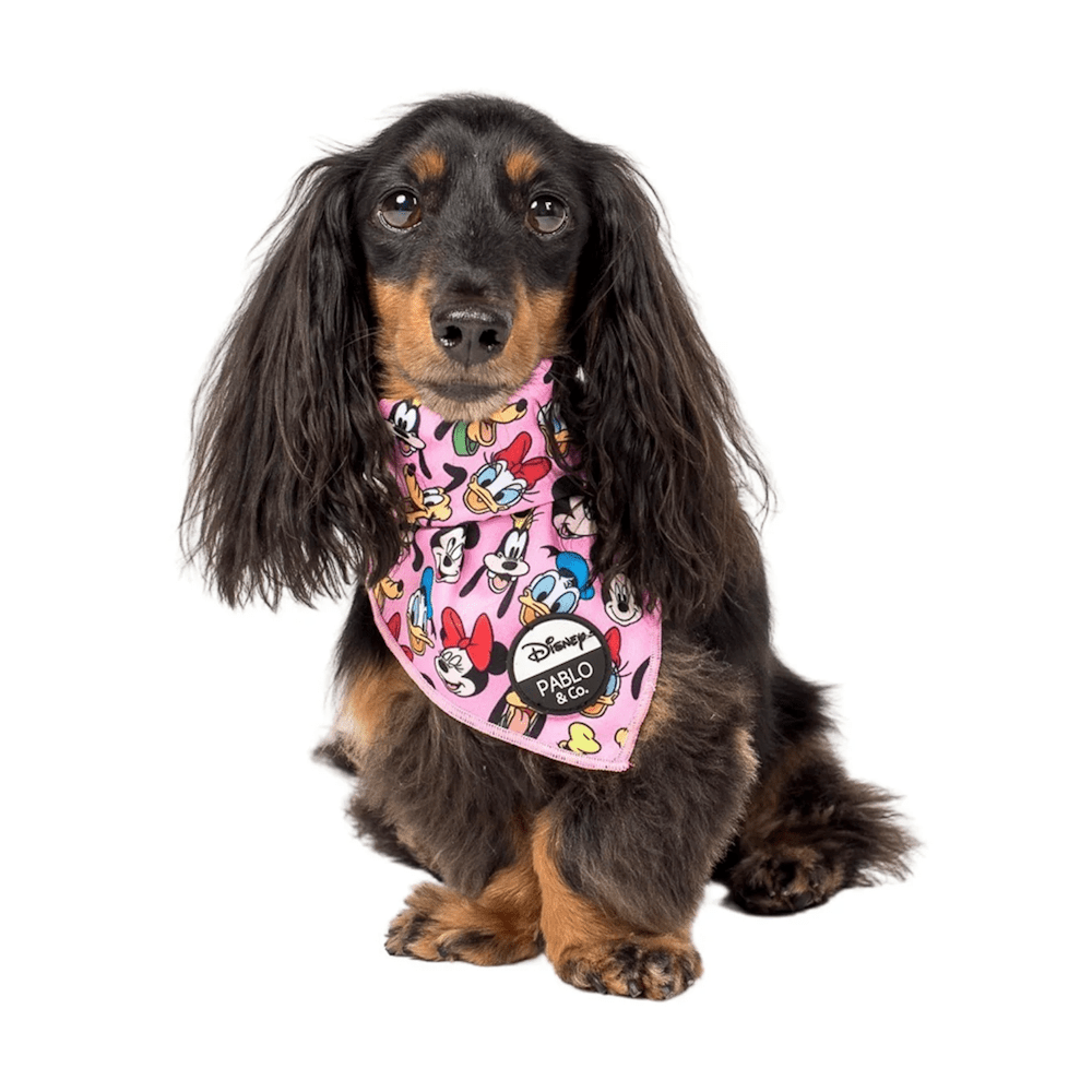 Pablo & Co Mickey & Friends: Bandana - Pink - Bandanas from Sale at DoggyTopia