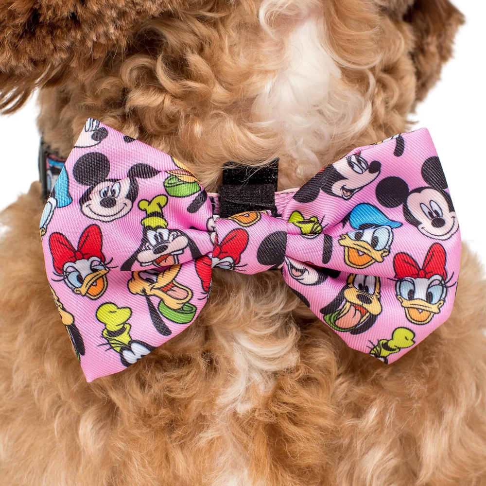 Pablo & Co Mickey & Friends: Bow Tie - Pink - Bow Ties from Sale at DoggyTopia