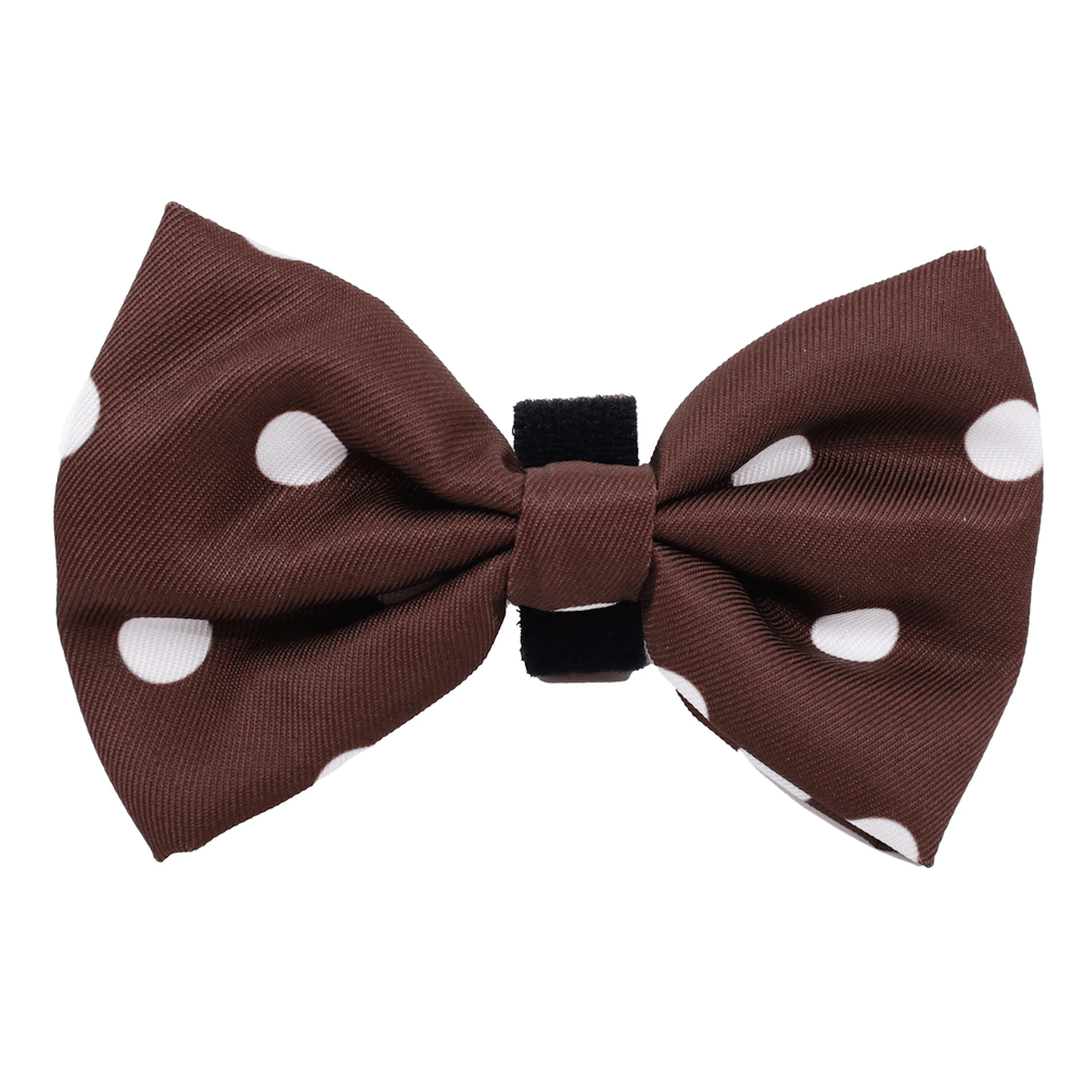 Pablo & Co Polka Dots Bow Tie - Bow Ties from Pablo & Co at DoggyTopia