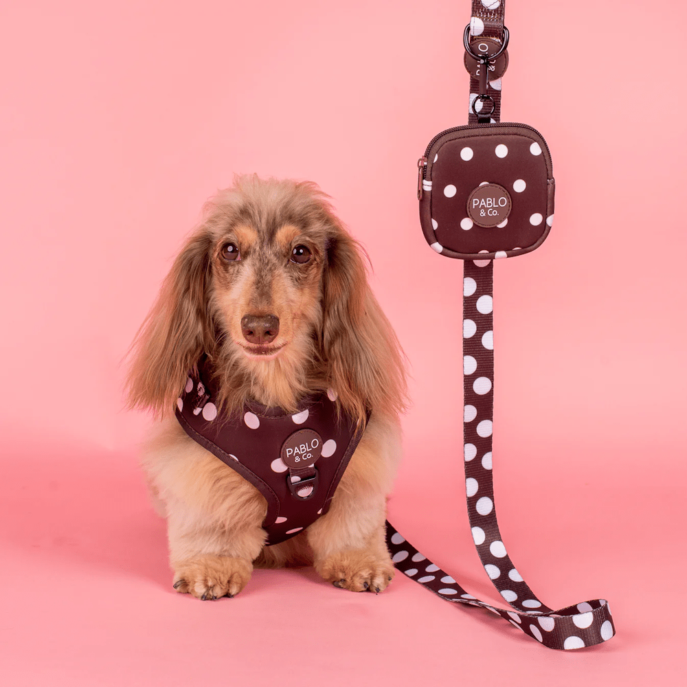 Pablo & Co Polka Dots Dog Leash - Leashes & Leads from Pablo & Co at DoggyTopia