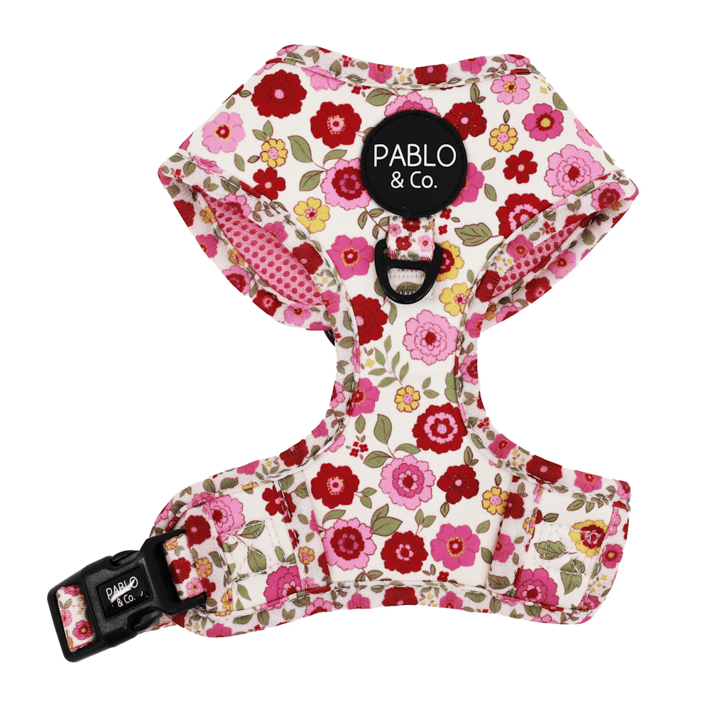 Pablo & Co Primrose Adjustable Harness - Adjustable Harnesses from Pablo & Co at DoggyTopia