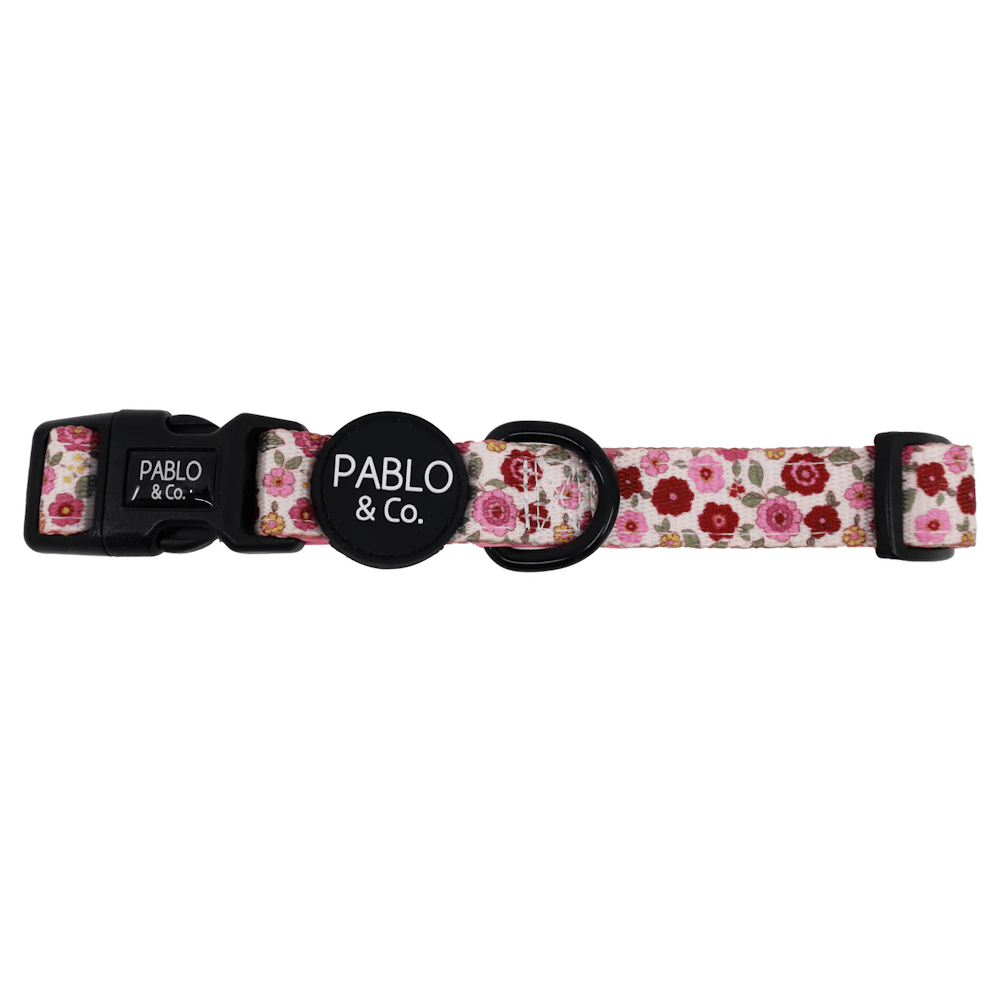 Pablo & Co Primrose Dog Collar - Collars from Pablo & Co at DoggyTopia